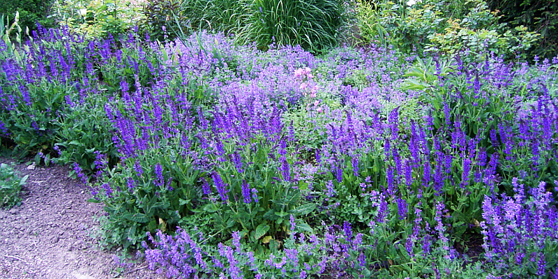 Leichter leben im Garten: Abendkurs an der Kreisvolkshochschule Holzminden