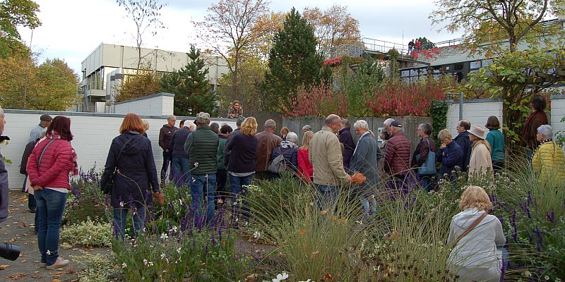 Grune Setzen Akzente Fur Die Landesgartenschau Botanischer Garten